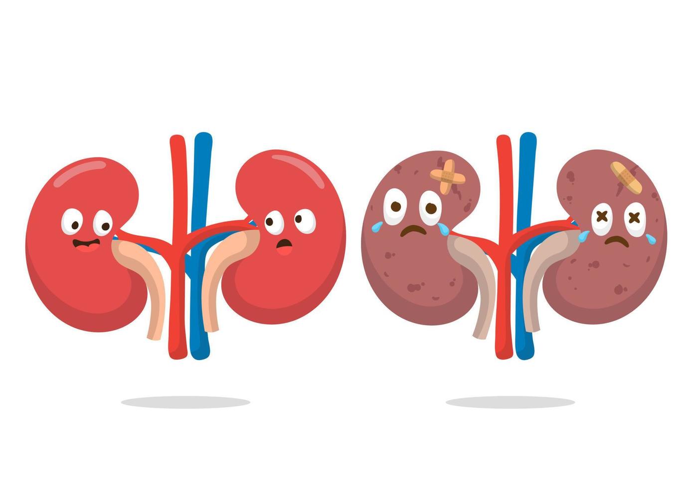 illustration of cartoon kidneys organ good for education, banner, healthy icon. vector