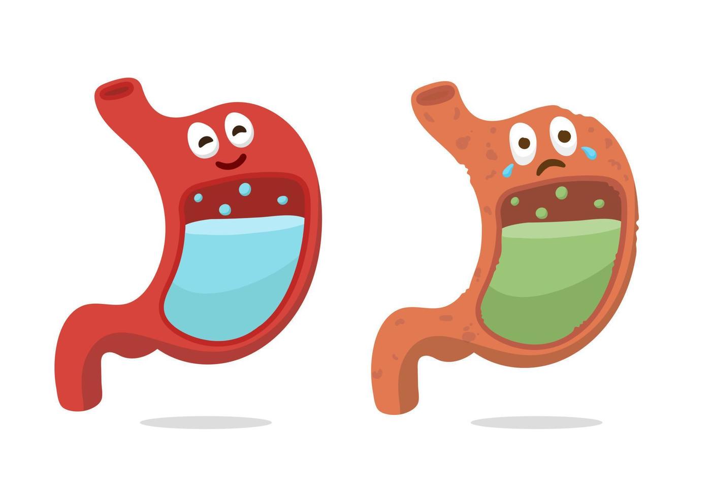 illustration of cartoon stomach organ good for education, banner, healthy icon. vector