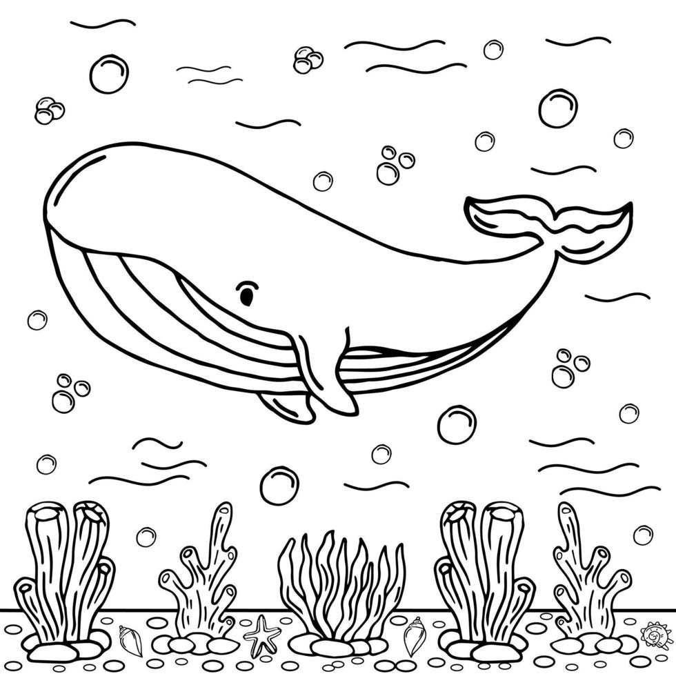 ballena para colorear página coloreada ilustración vector