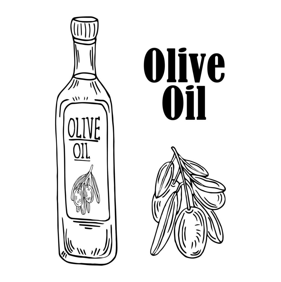 Botella de aceite de oliva con rama aislado sobre fondo blanco. vector