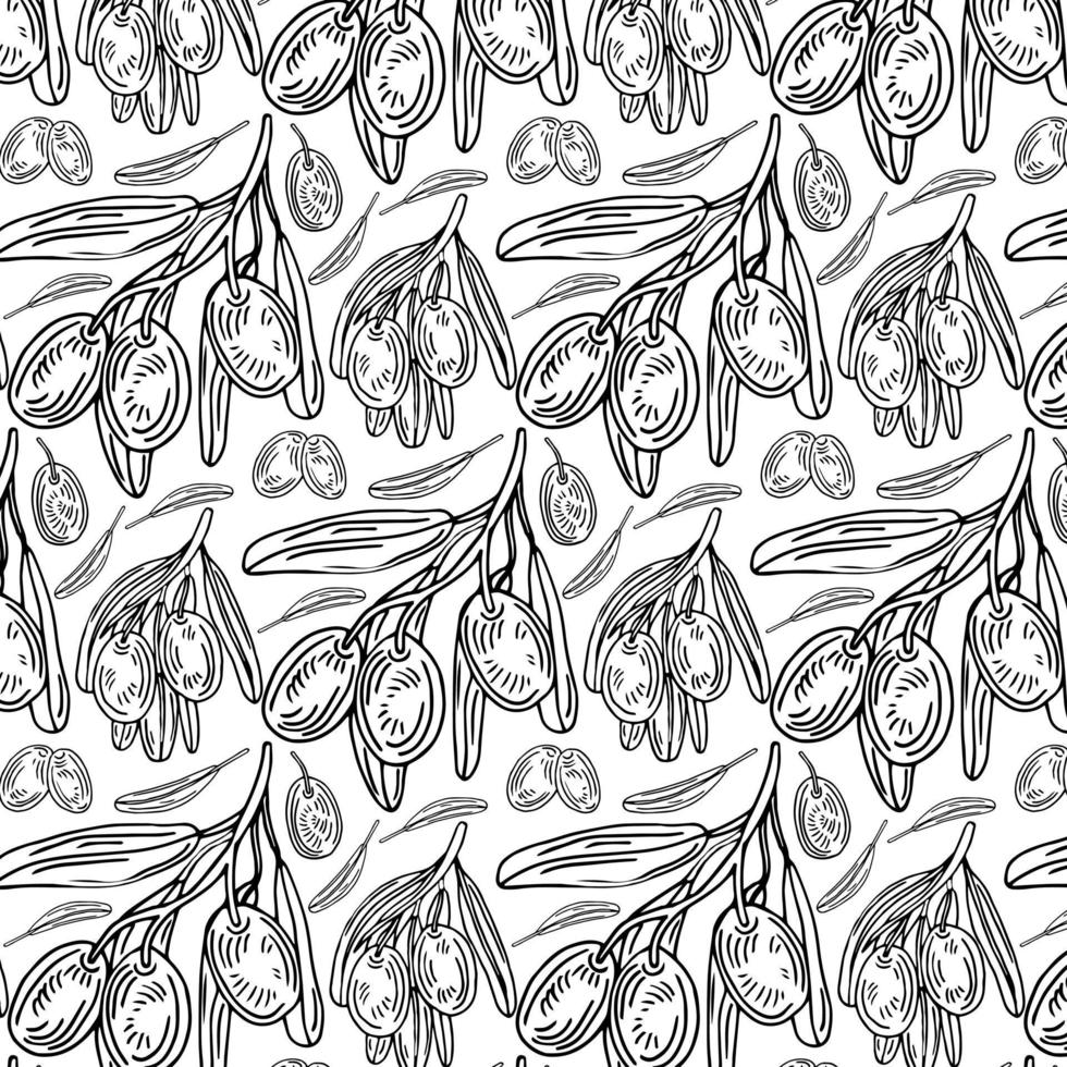 Black olive pattern. Greek olives on branches with leaves, hand drawn sketch vector illustration. Greek olive twig, floral decoration fresh