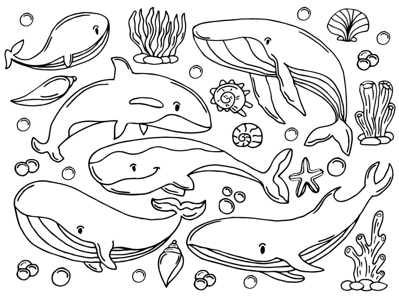 Whales color sketch set. Big collection of different hand drawn whales and dolphins in engraving style. Zoological illustration of ocean mammals vector