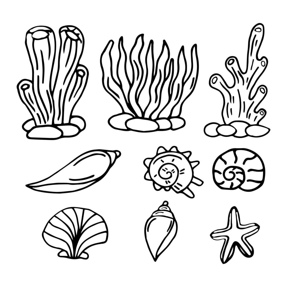 conjunto de algas. hierba de agua libro para colorear a mano alzada.  ilustración vectorial aislado sobre fondo blanco 15868085 Vector en Vecteezy