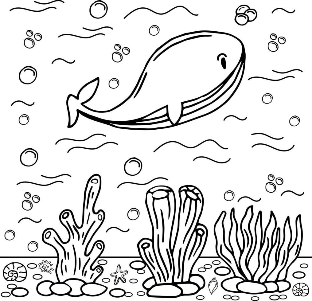 Whale Coloring Page Colored Illustration 15868089 Vector Art at Vecteezy