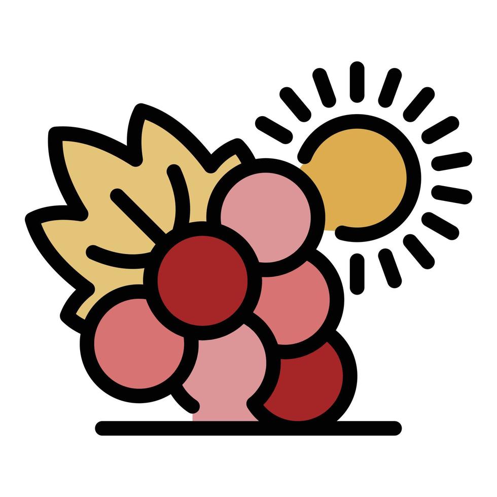 vector de contorno de color de icono de uvas y sol