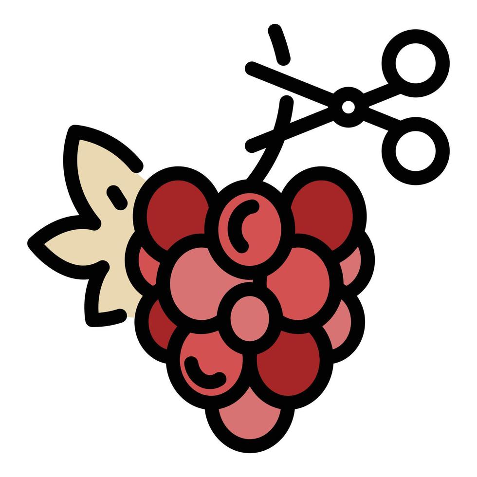 vector de contorno de color de icono de uvas y tijeras