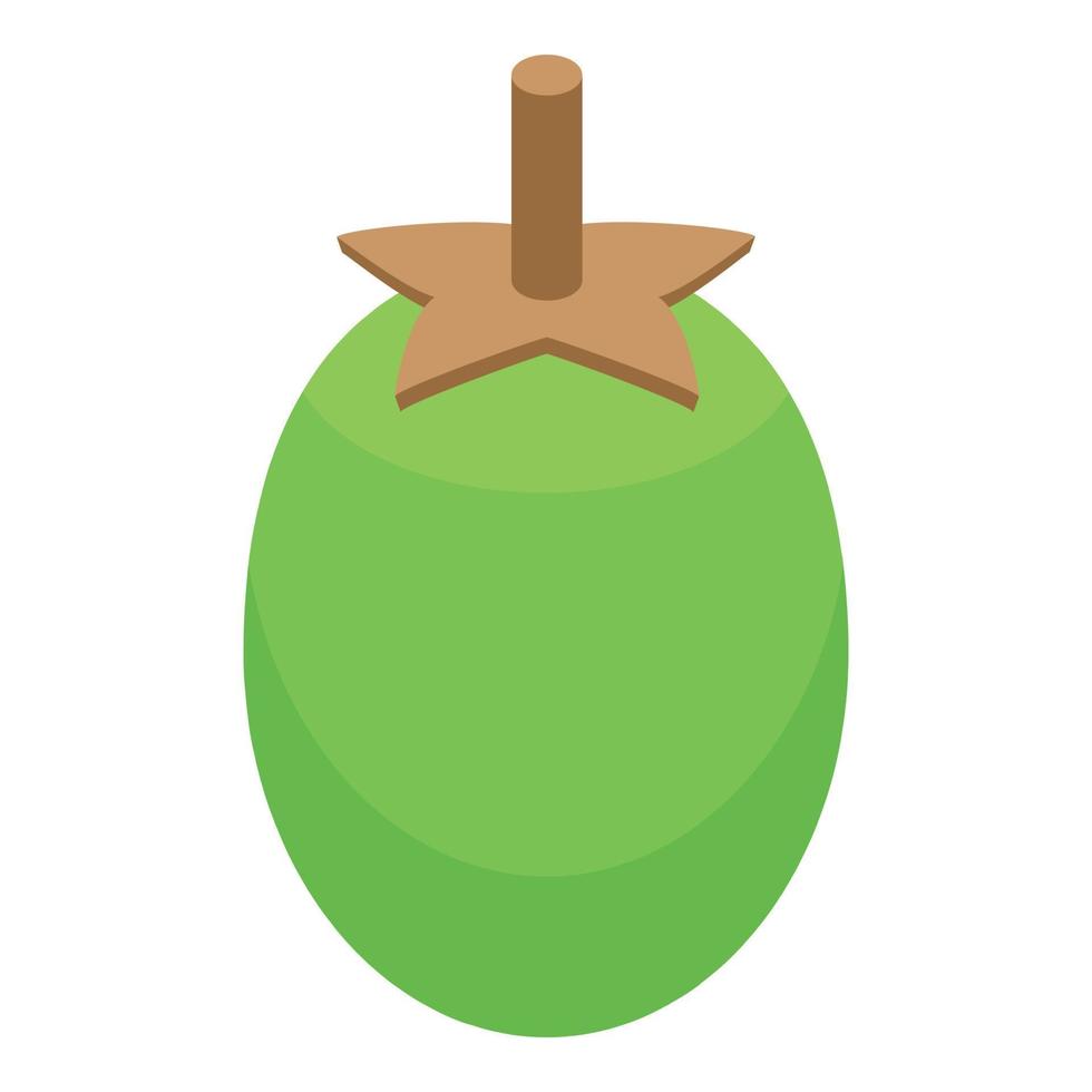 Green baobab fruit icon isometric vector. African tree vector