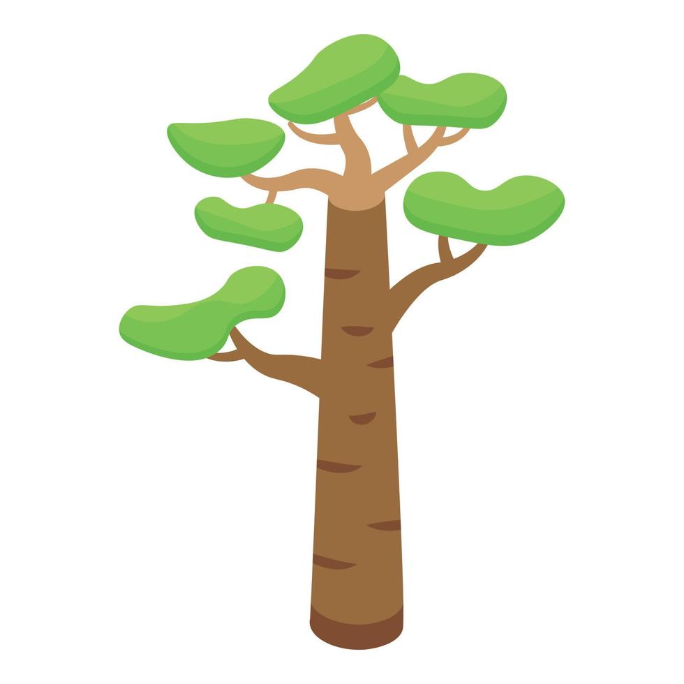 Baobab african tree icon isometric vector. Madagascar plant vector