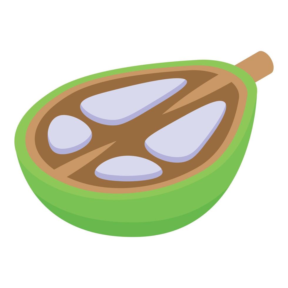 Piece of baobab fruit icon isometric vector. African tree vector