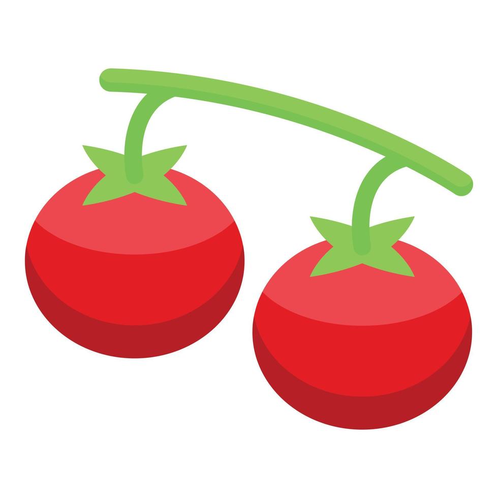 Fresh tomato icon isometric vector. Isolated ketchup tomato vector
