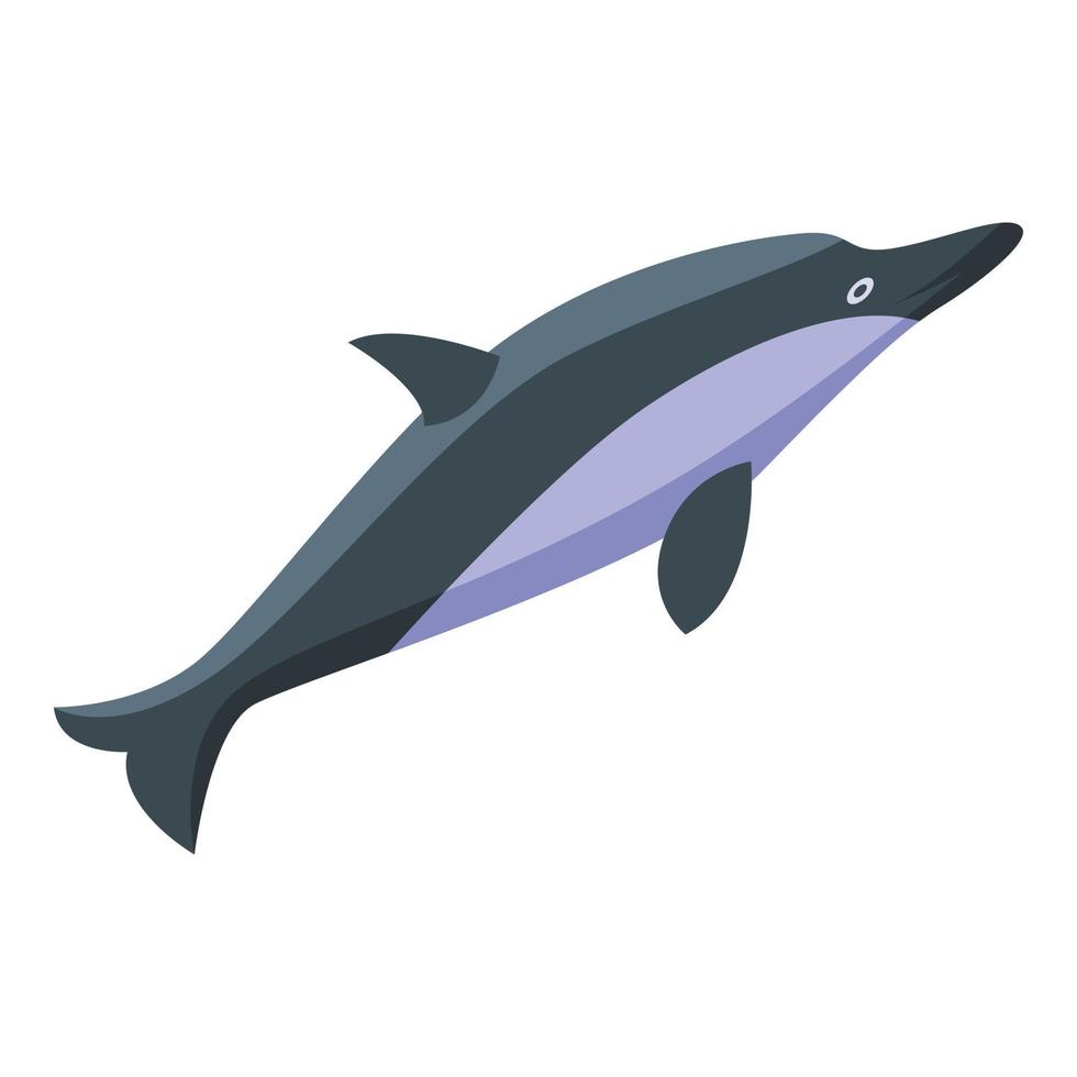 icono de delfín oceánico, estilo isométrico vector