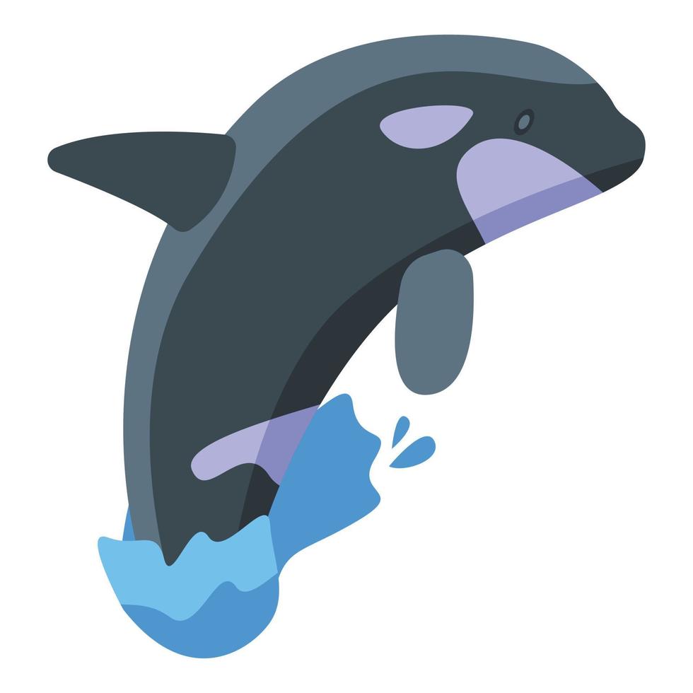 icono de espectáculo de ballenas asesinas, estilo isométrico vector