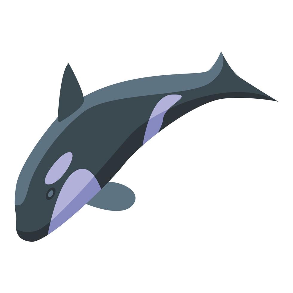 icono de caza de ballenas asesinas, estilo isométrico vector