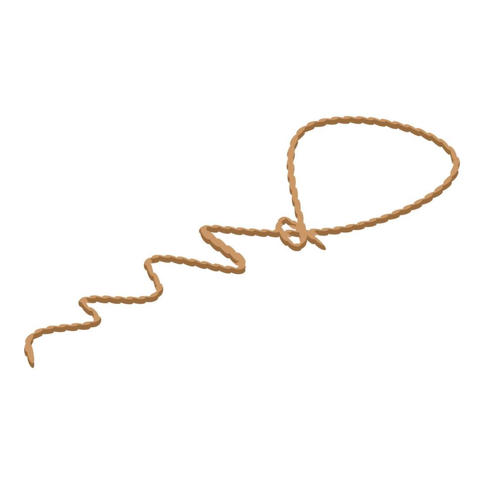 Lasso icon, isometric style vector