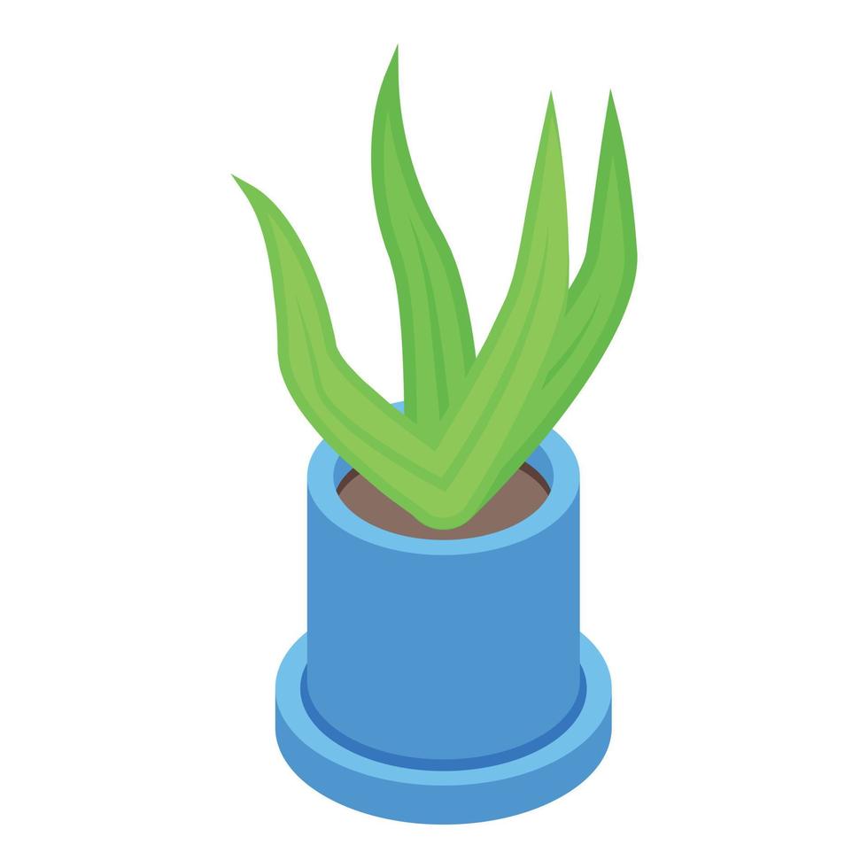 Eco plant pot icon, isometric style vector