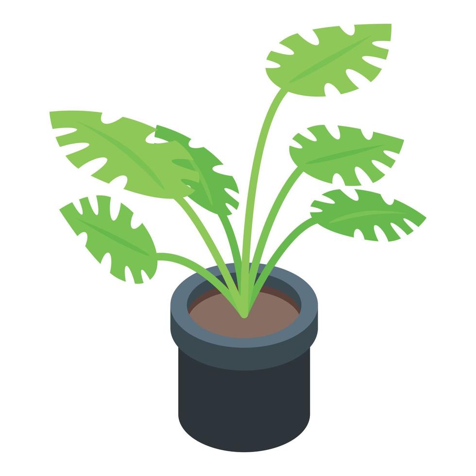 Tropical plant pot icon, isometric style vector