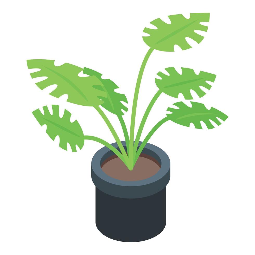 icono de maceta de planta tropical, estilo isométrico vector