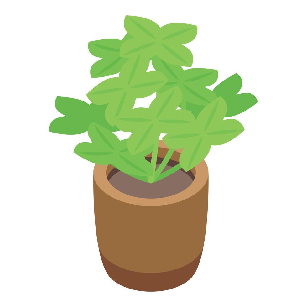 Luck plant pot icon, isometric style vector