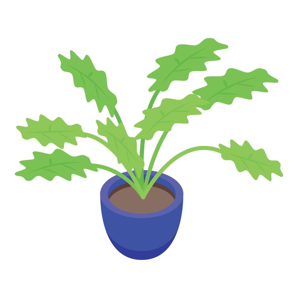 Big leaf plant pot icon, isometric style vector