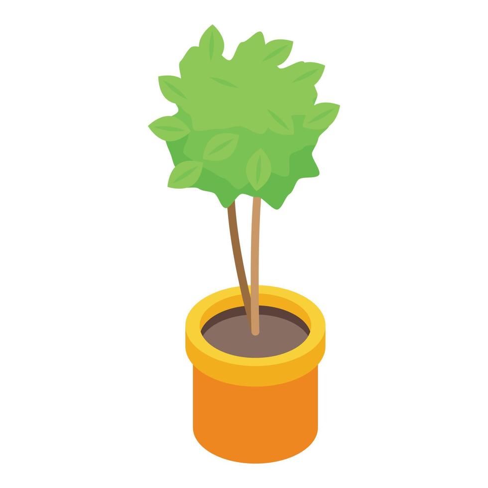 Tree pot plant icon, isometric style vector