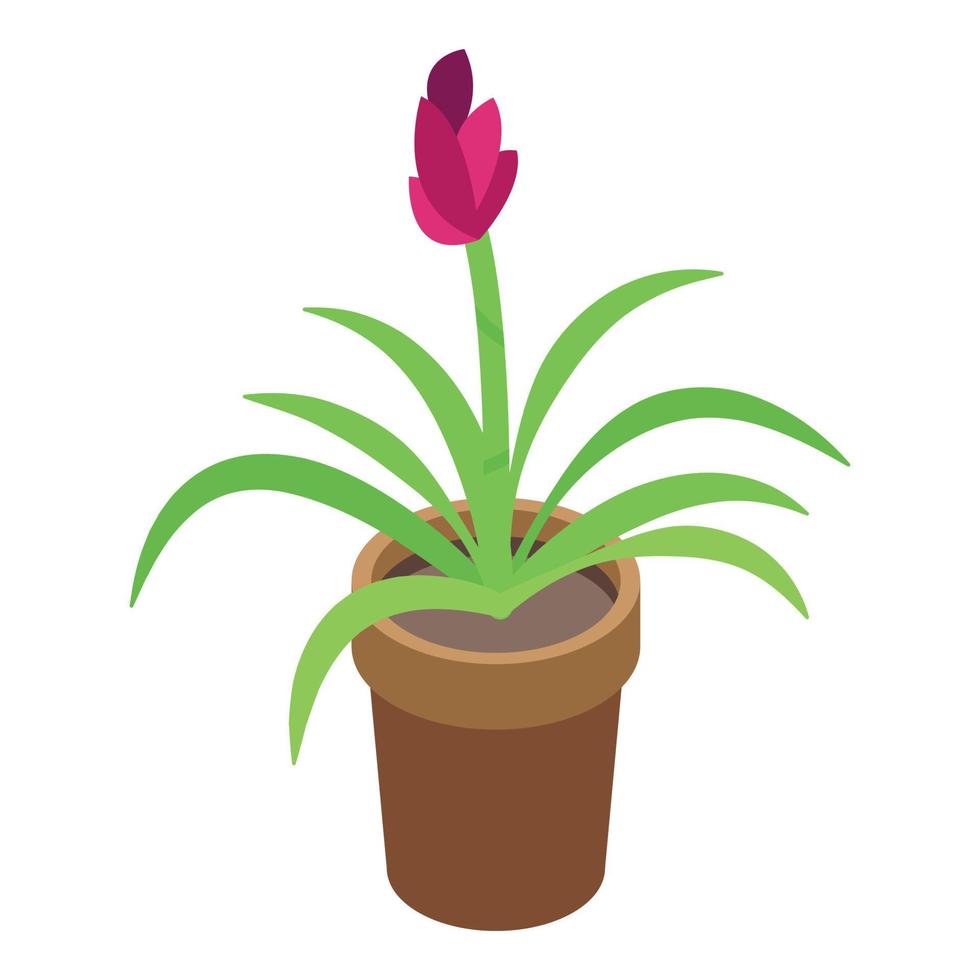 Room flower pot icon, isometric style vector