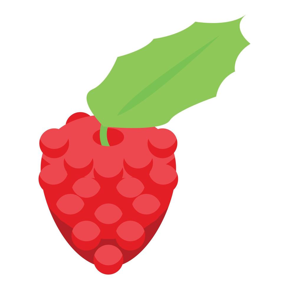 Fresh raspberries icon, isometric style vector