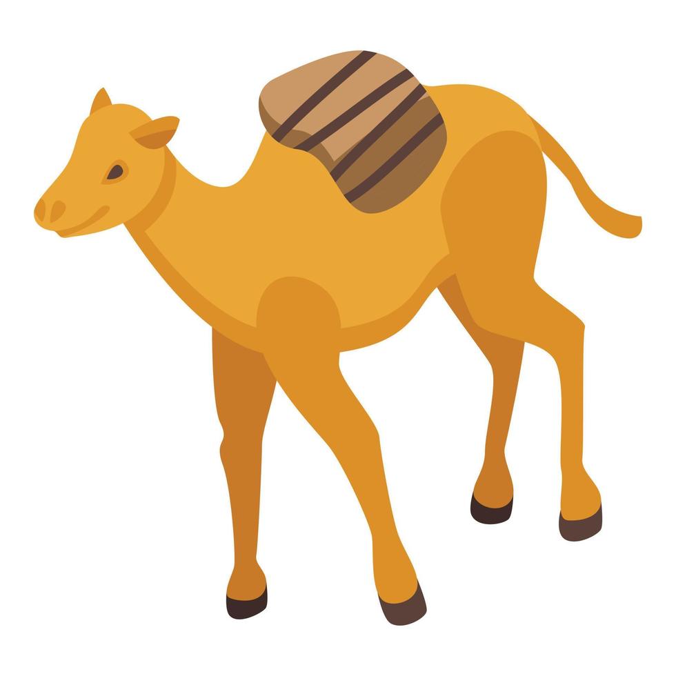 icono de camello del zoológico, estilo isométrico vector