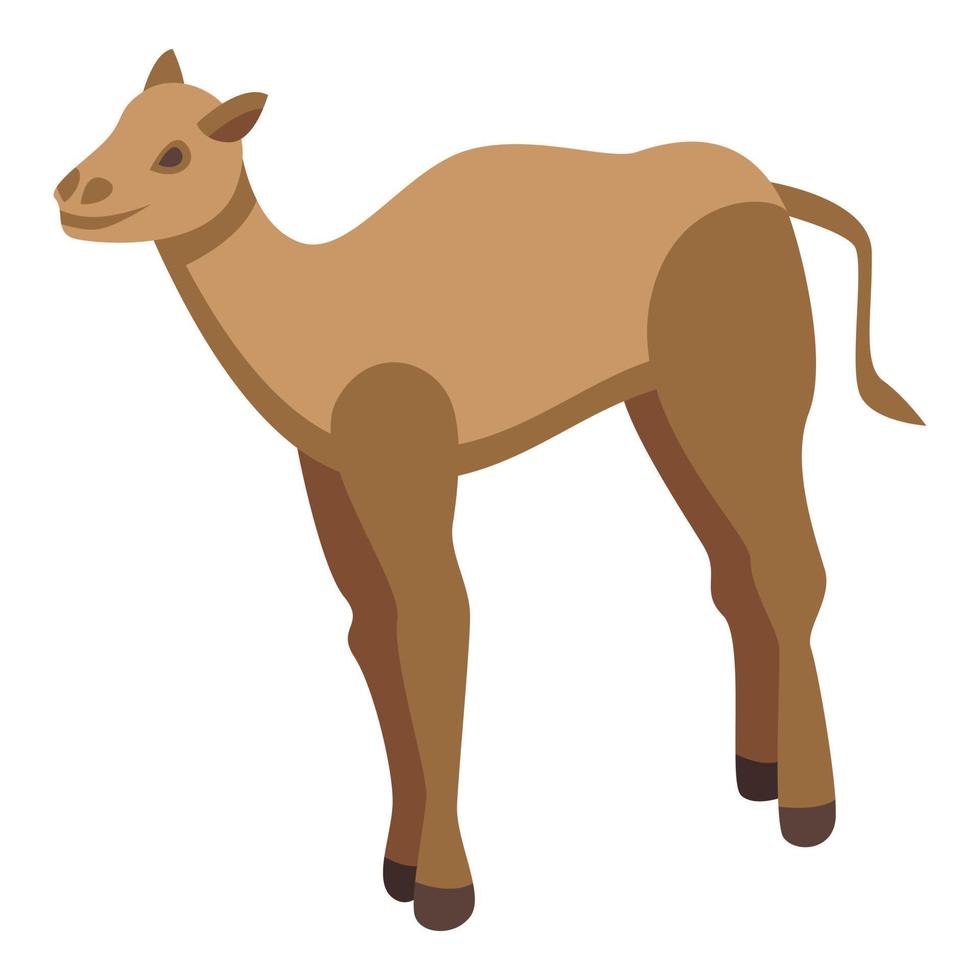 Caravan camel icon, isometric style vector