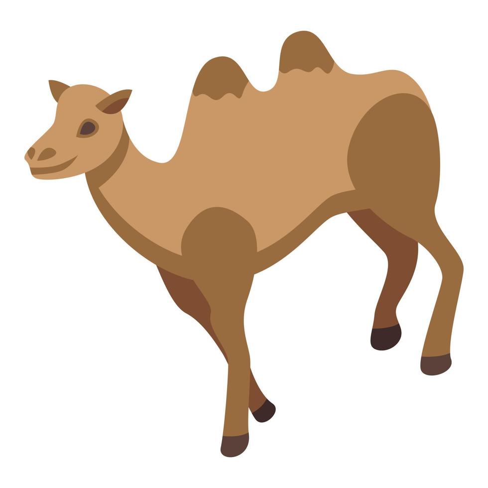 Camel animal icon, isometric style vector