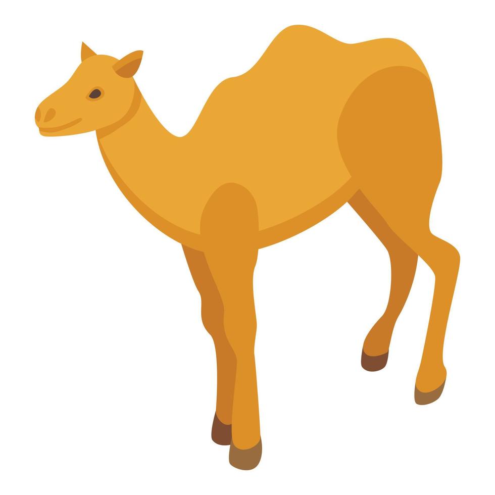 icono de camello de vida silvestre, estilo isométrico vector