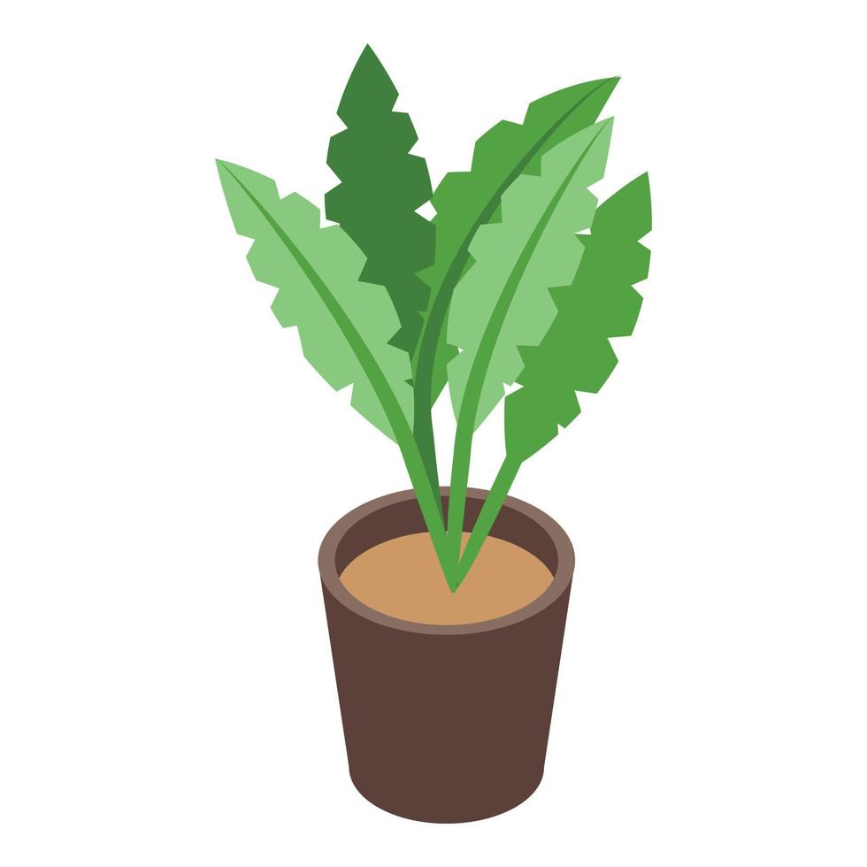 Home office plant pot icon, isometric style vector