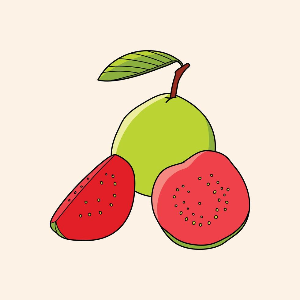 Ilustración de vector de fruta de guayaba