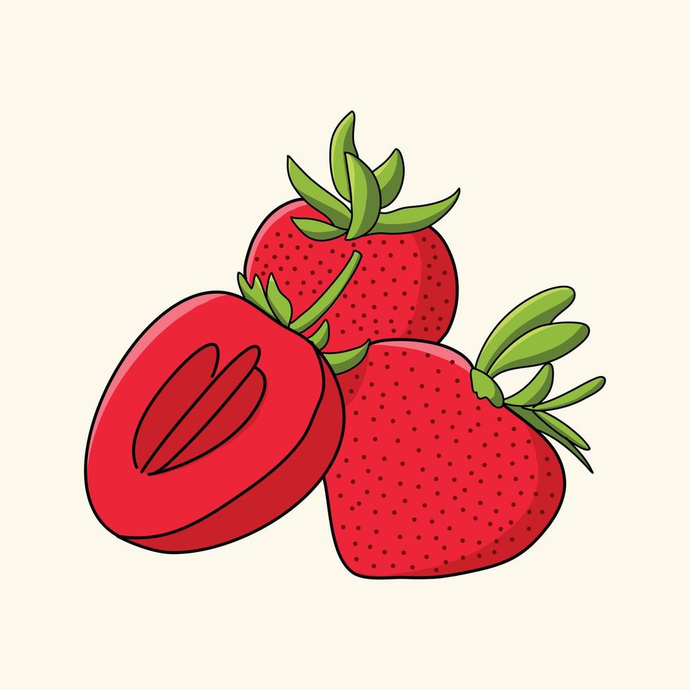 strawberry fruit vector illustration