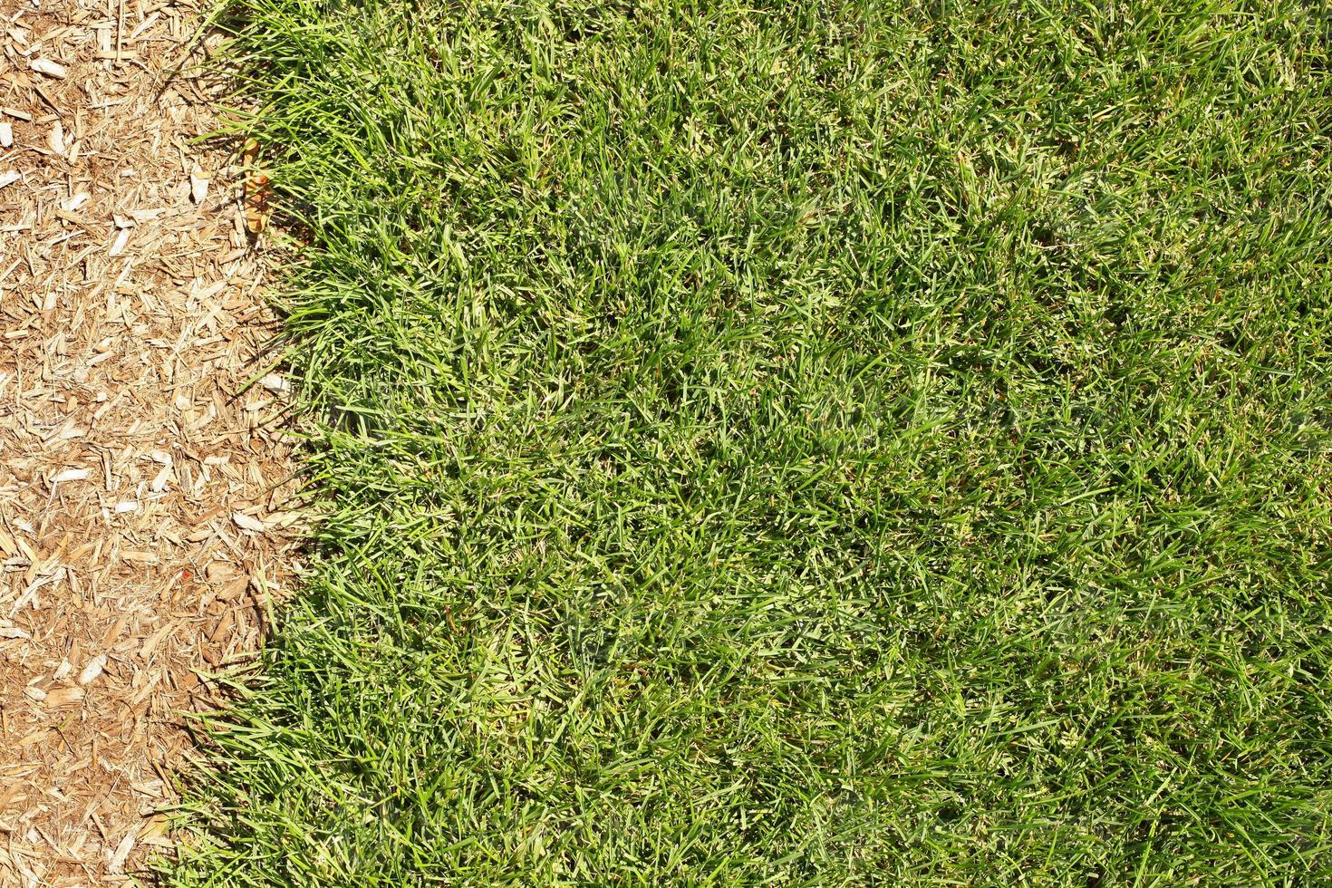 gras and manure photo