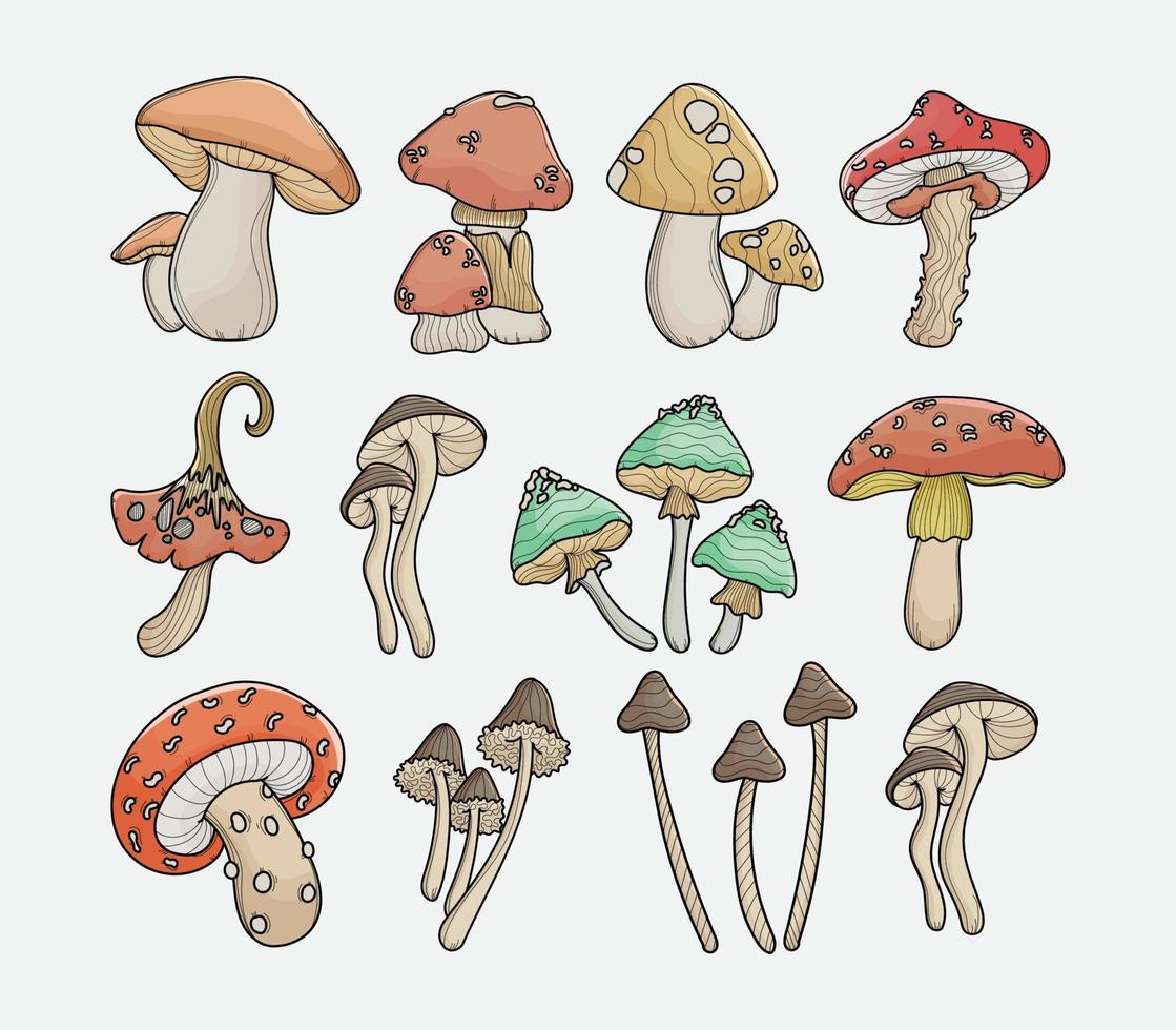diferentes tipos de hongos que son ilustraciones vectoriales comestibles y venenosas vector