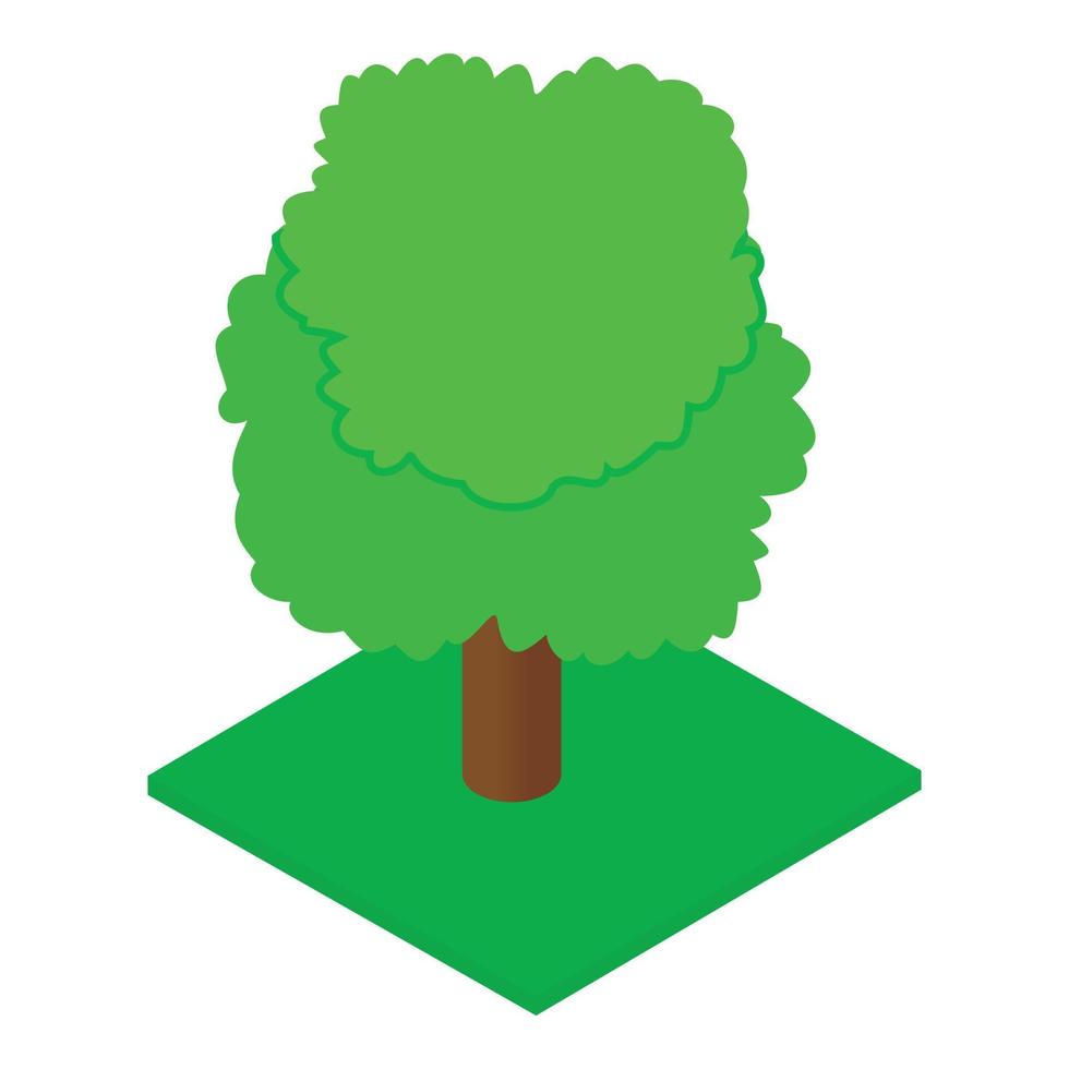 Ash tree icon, isometric style vector