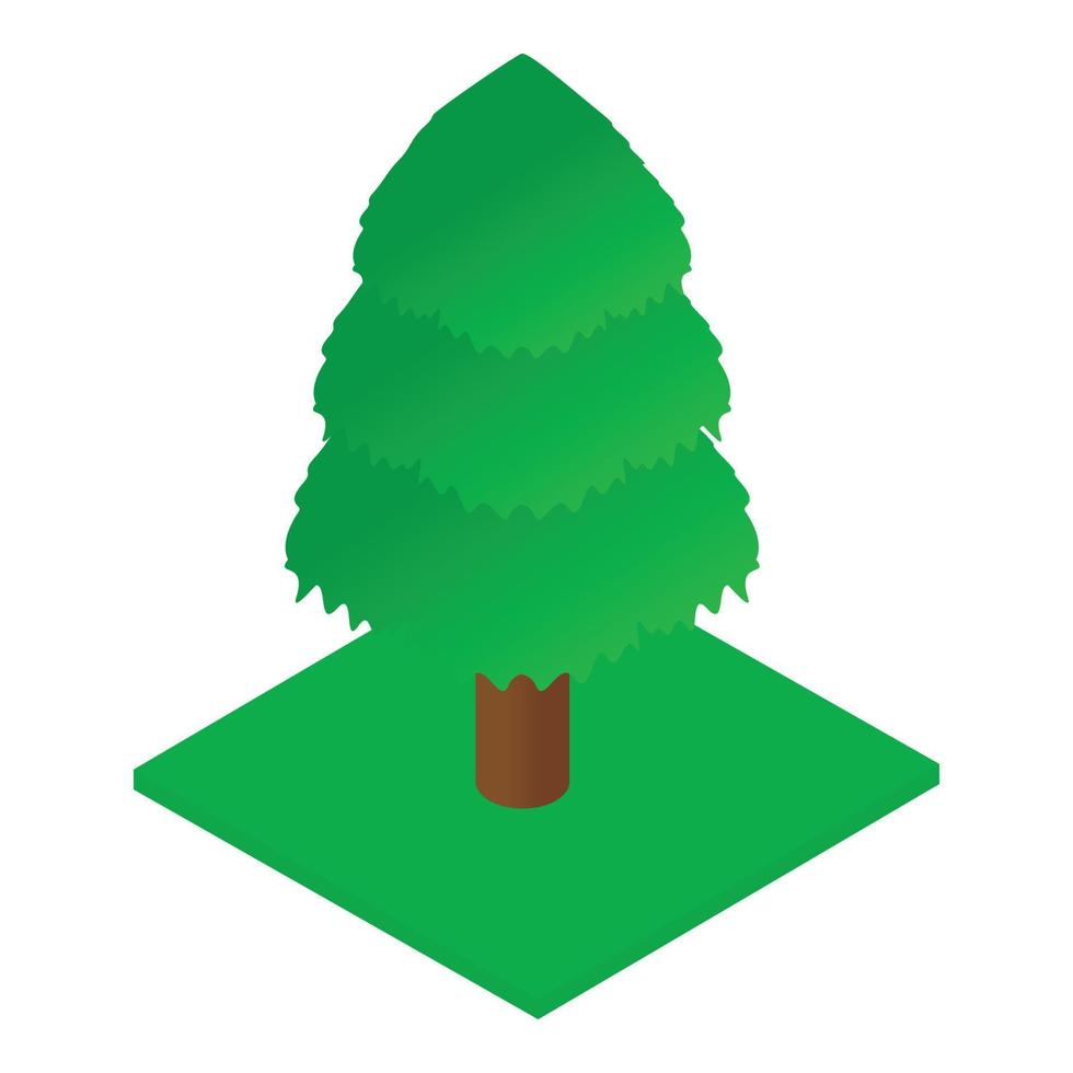 Spruce icon, isometric style vector