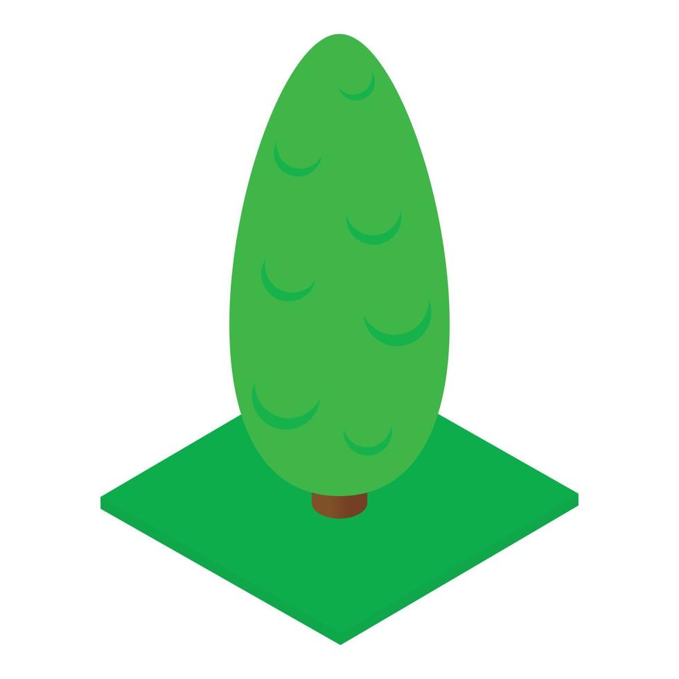 Cypress tree icon, isometric style vector