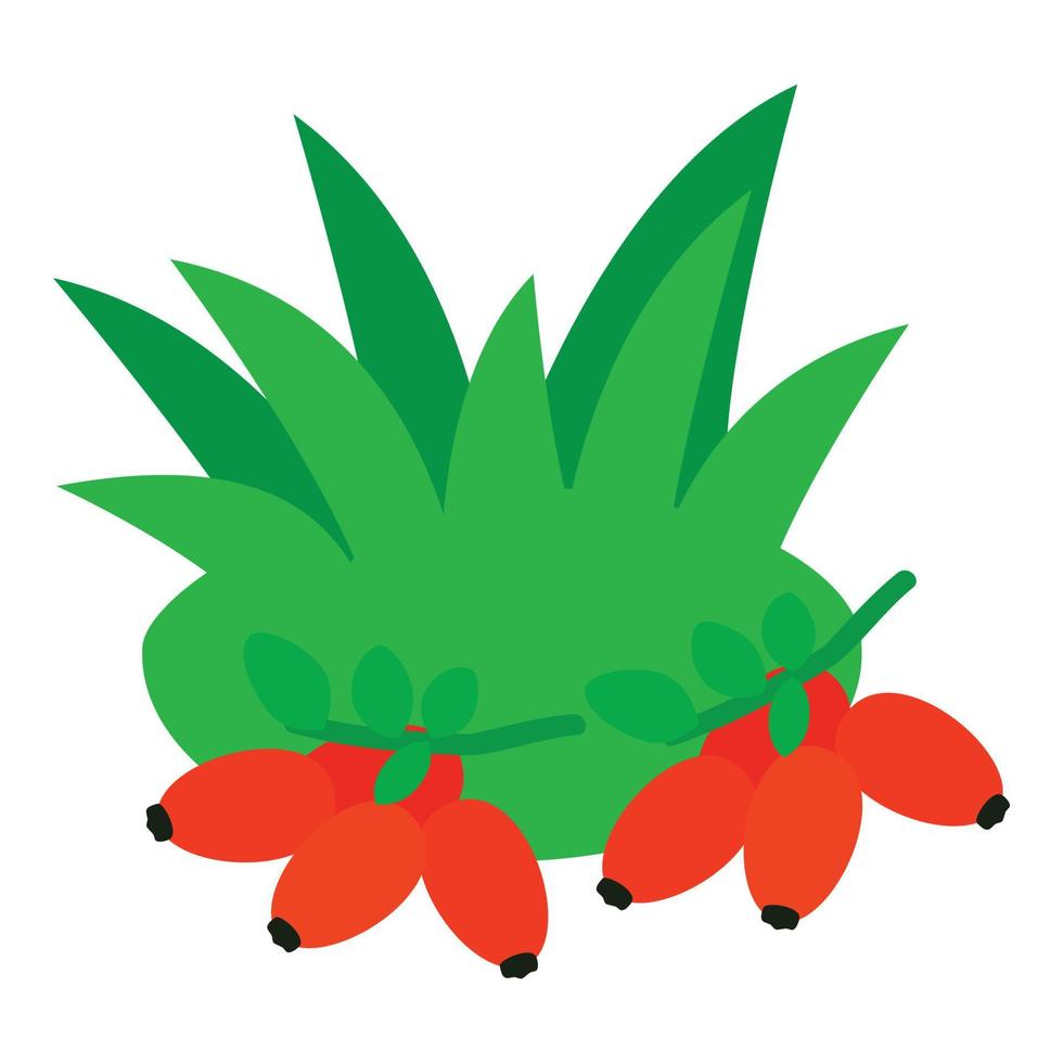 Red rosehip icon, isometric style vector