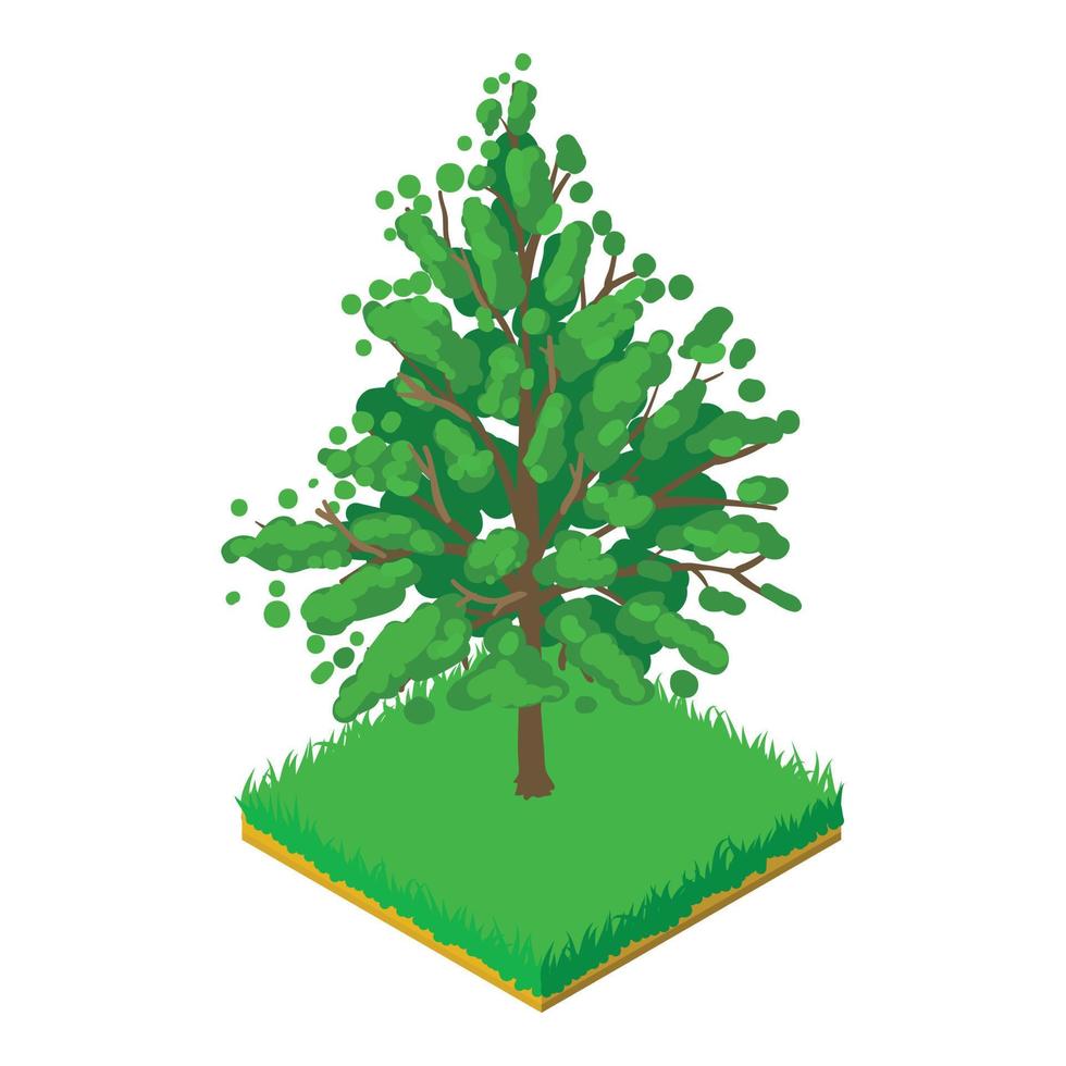 Magnolia acuminata icon, isometric style vector