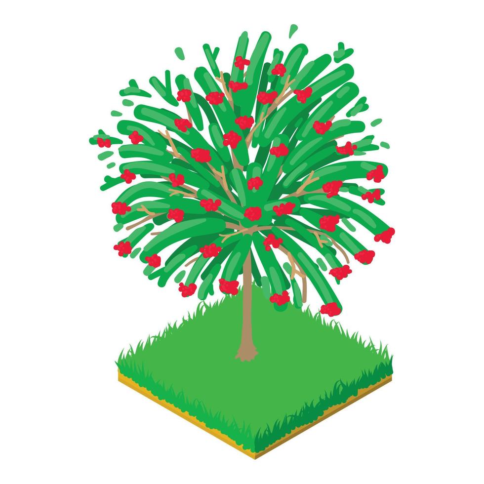 Hawthorn tree icon, isometric style vector