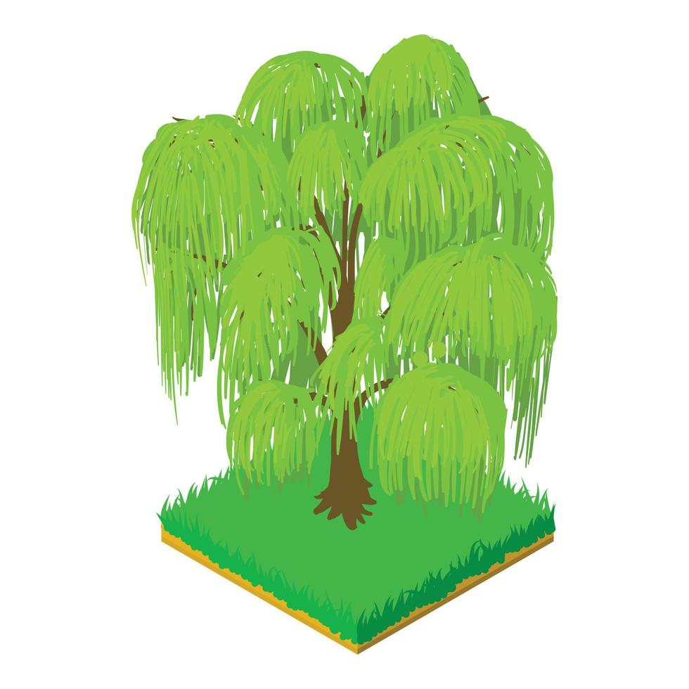 Weeping willow icon, isometric style vector