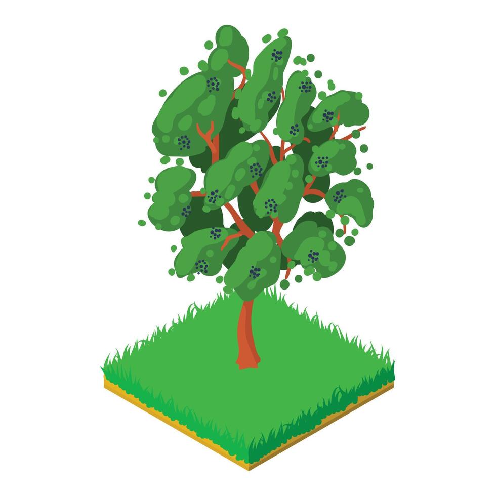 Bird cherry icon, isometric style vector