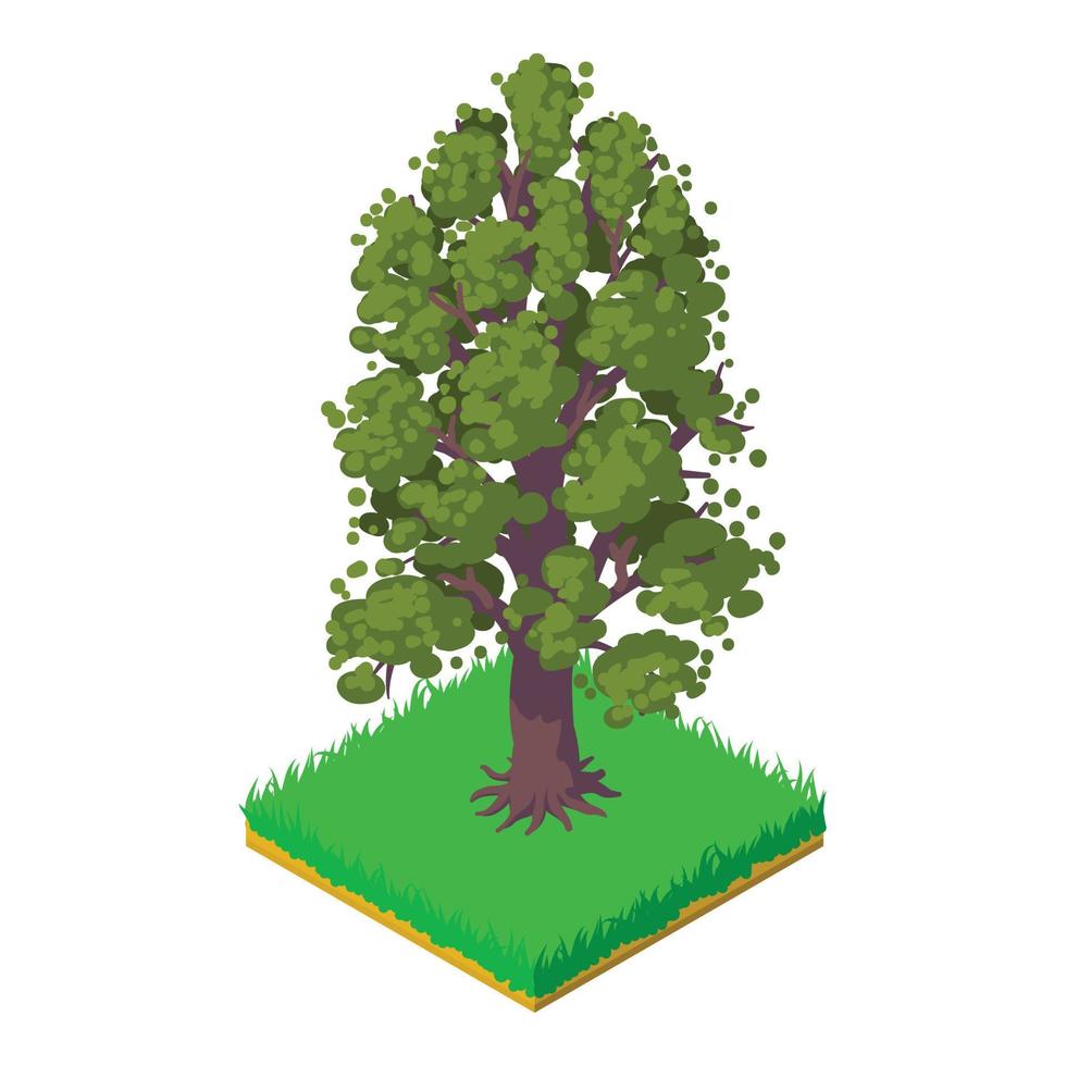 American chestnut icon, isometric style vector