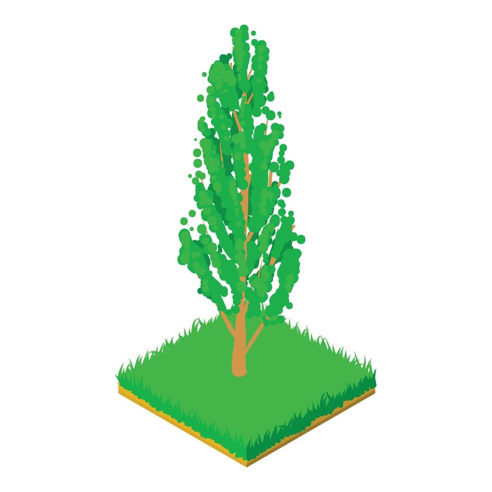 Poplar icon, isometric style vector