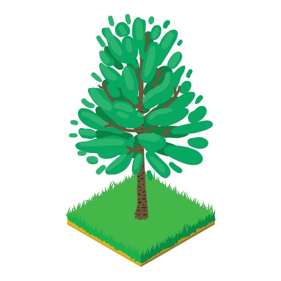 Black birch icon, isometric style vector