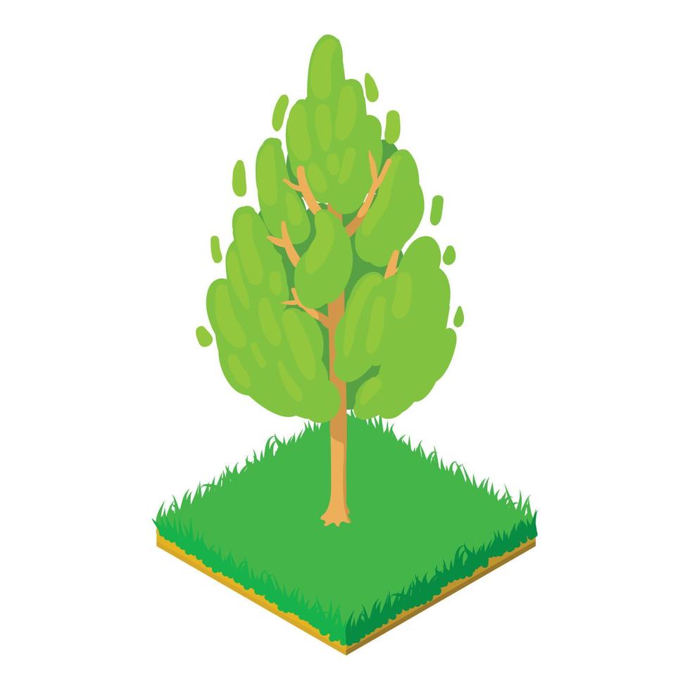 Basswood tree icon, isometric style vector