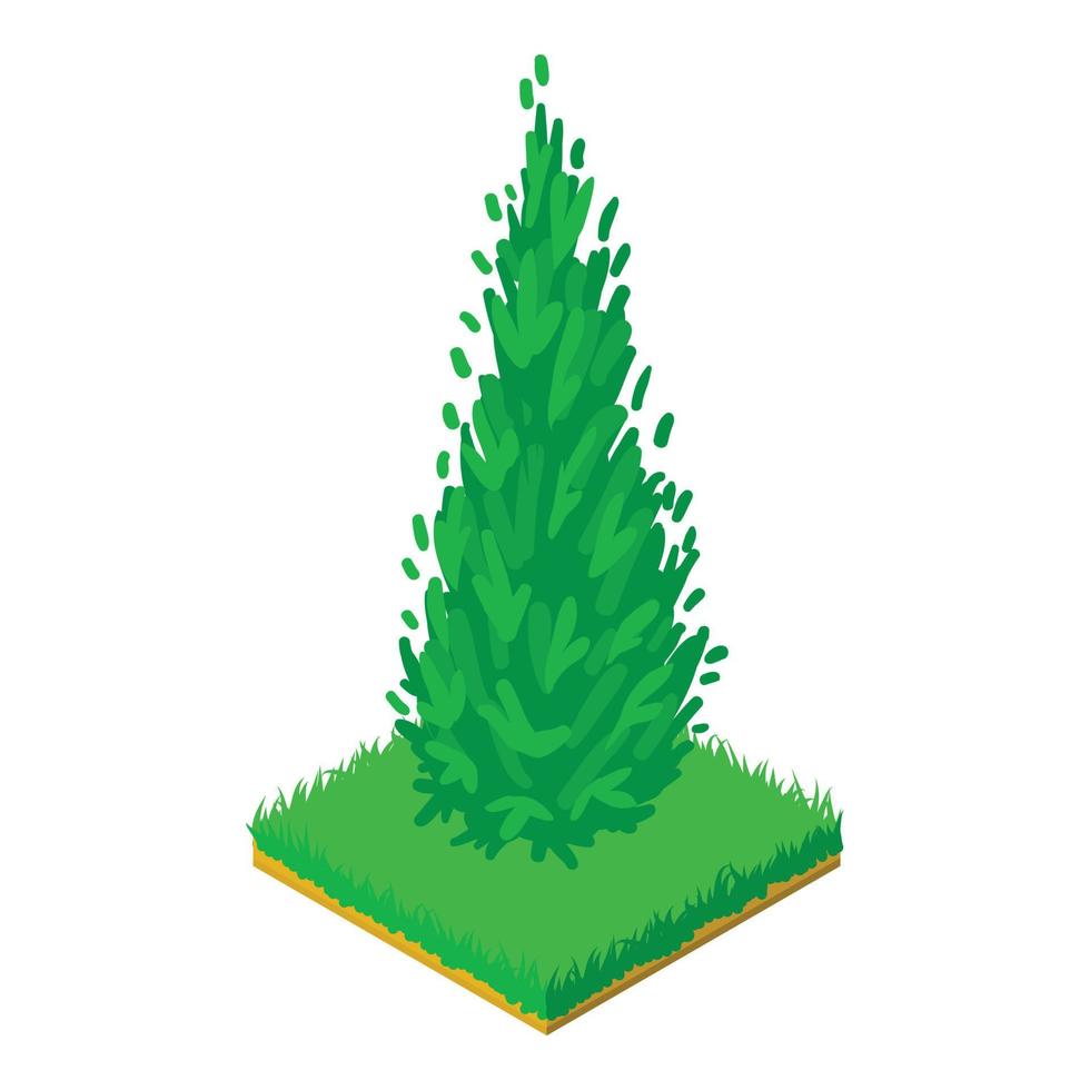 Arborvitae icon, isometric style vector