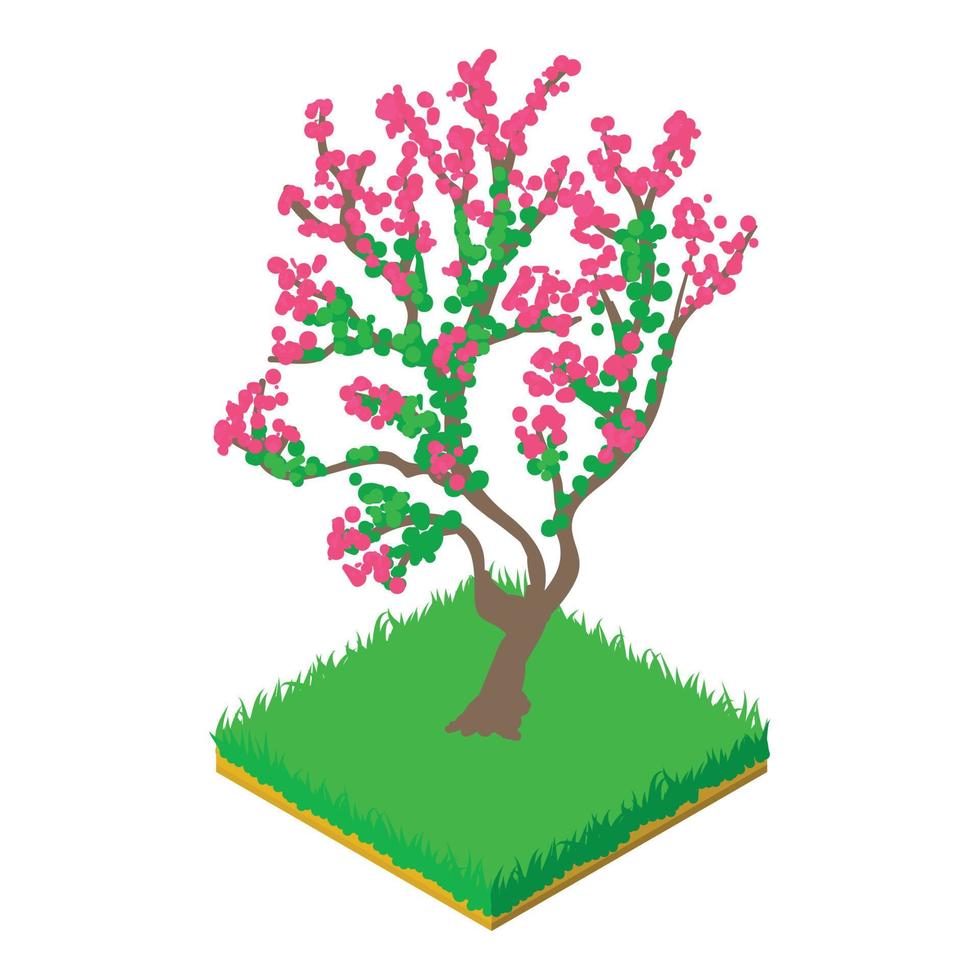 Blooming cherry icon, isometric style vector