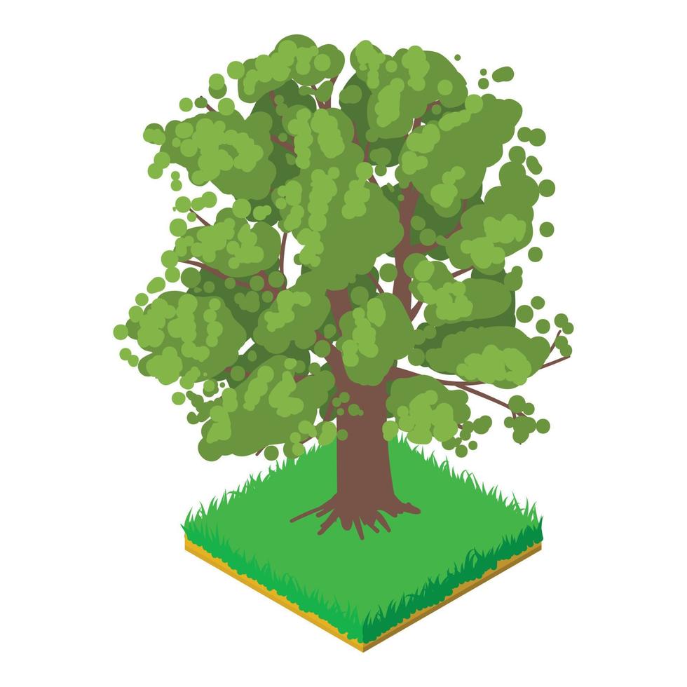 Oak icon, isometric style vector